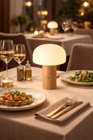 Veioza Led HubRom, OLWA Lampa de masă LED reîncărcabilă, tactilă, fără fir, cu detalii elegante din lemn 9504-1T-AH 15X21 cm Alb / Lemn